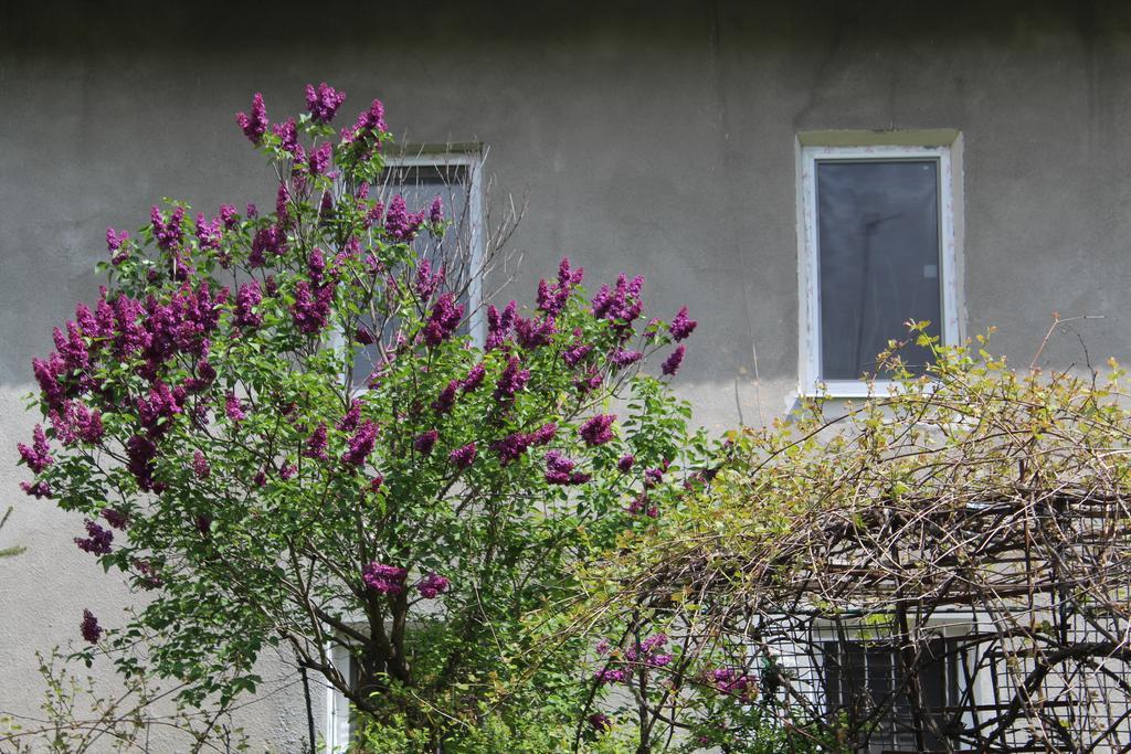 Apartment On Zaliznychna Лвив Екстериор снимка