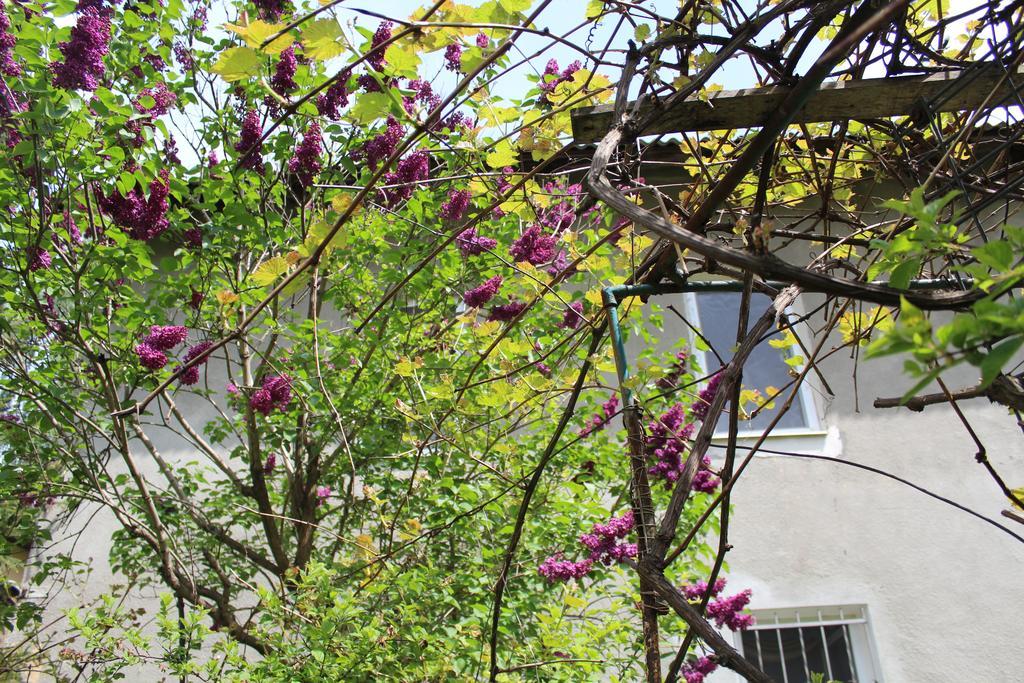 Apartment On Zaliznychna Лвив Екстериор снимка
